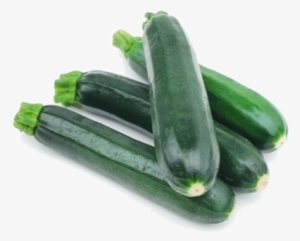 Squash, Zucchini, 1lb - St. John Gourmet Market #2172852