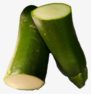 File - Zucchini2 - Wikimedia Commons #2172978