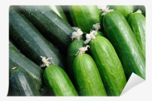 Courgette Vs Komkommer #2173049