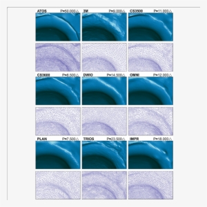 Comparison Of Rendered Surface And 3d Mesh Displaying - Inflatable #2173396