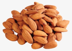 Almond Png - Badam Png Images Hd #2173427