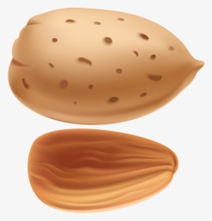 Almond Png Clip Art - Almonds Clipart Transparent Png #2173517