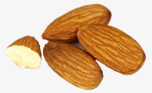 Almond Png - Almond #2173539