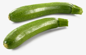 Product Features - Pasta #2173619