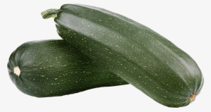 Zucchini - Royalty-free #2173667