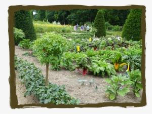 Gardens - Botanical Garden #2174106