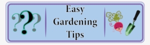 Page Gardening Tips 3 - Lilac #2174226