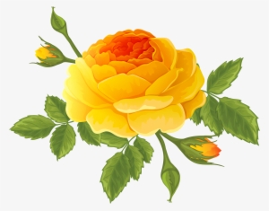 Orange Rose Png Download #2174707
