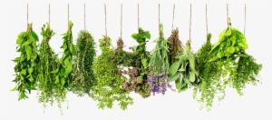 Herbs Png Hd - Prospector Co Deodorant Spray #2174992