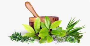 More Info - Easy Guide To Ayurveda: The Natural Way To Wholeness #2175074