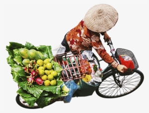 Asian Woman Walking Bike Full Of Groceries Aerial View - Miami #2175151