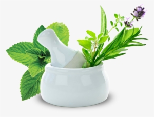 Ark Hara Bhara - Herbal Remedies: The Guide To Healing Naturally #2175339