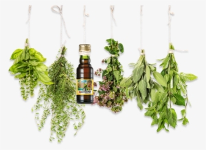 Bild1 Bild2 Bild-mobile #2175752