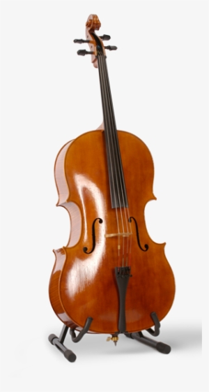 Cello - Double Neck Cello #2176570
