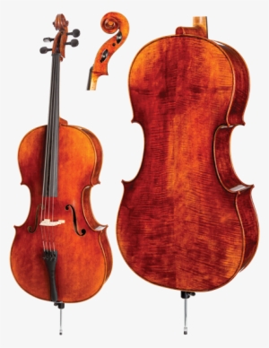 Wvs "artist" C30 Cello - Cello #2176907