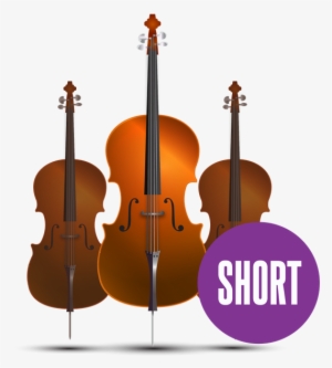Orchestral Cello Short - Viola #2177273