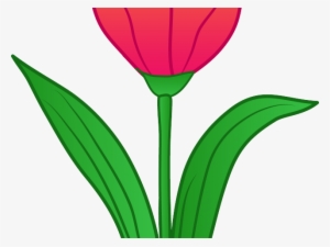 Tulip Clipart Tulip Flower - Clip Art #2178220