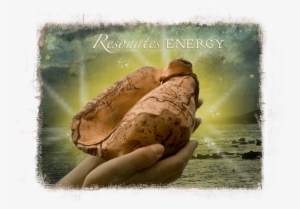 Prevnext - Chicago-style Hot Dog #2178284