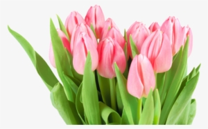 Flowers For Women's Day #2178453