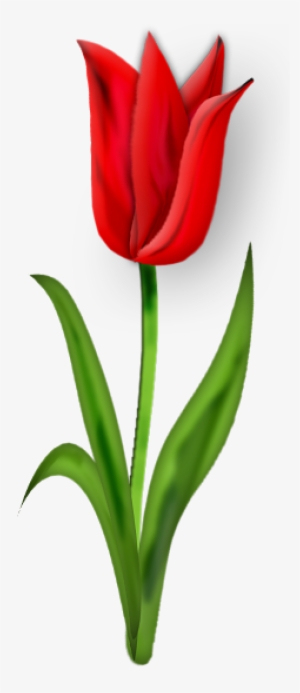 Lacarolita My Lady Bugs - Flower #2180221