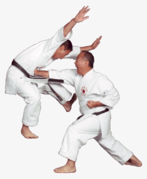 Download - Shotokan Karate #2180352