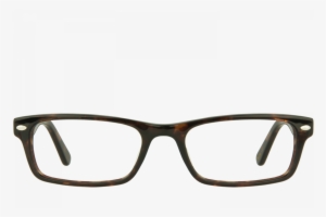 Venus - Warby Parker Beckett Striped Chestnut #2180840