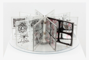 Carolee Schneemann @ P•p•o•w • 2-times - Architecture #2181258