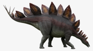 Stegosaurus #2181282