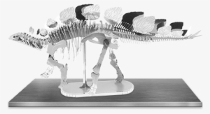 Picture Of Stegosaurus Skeleton - Fascinations Metal Earth 3d Laser Cut Model - Stegosaurus #2182055
