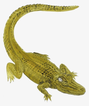 Icon-gator - Nile Crocodile #2182489