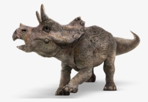 Triceratops - Jurassic World Fallen Kingdom Baby Triceratops #2182824