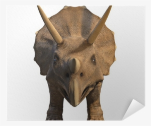 Triceratops Face #2182825