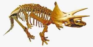 Triceratops Royal Tyrrell - Triceratops #2182869