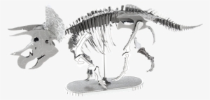 Metal Earth Dinosaur - Metal Earth: Triceratops Skeleton - Model Kit #2183148
