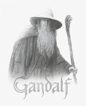 Lord Of The Rings Gandalf The Grey Men's Slim Fit T-shirt #2183419