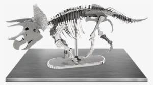 Picture Of Triceratops Skeleton - Metal Earth 3d Model Kits Dinosaur #2183444