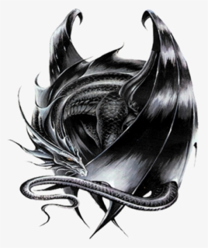 Metallic Dragon - Black Dragon Sleeping #2183883