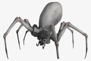 Krykna Spiders - Star Wars Krykna #2184358