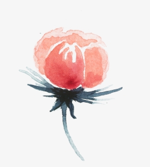 Of A Friends Wedding In The Summer Of - Insect #2184499