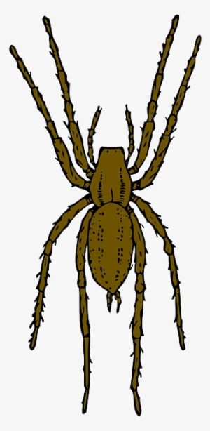 Brown, Cartoon, Spider, Bug, Insect, Spiders, Leap - Brown Spider Clipart #2184569