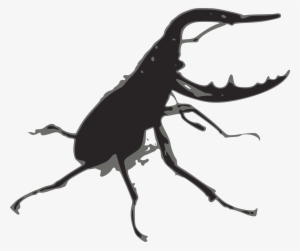 Svg Free Big Image Png - Stag Beetle Png #2186971