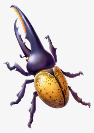 Image Mystic Png Quiz - Beetle Transparent #2187057