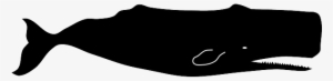Png Free Stock Humpback Whale Silhouette At Getdrawings - Sperm Whale Vector #2187990