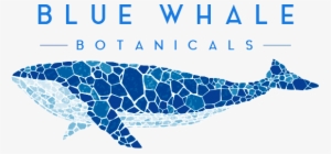 Blue Whale Botanicals - Mosaic Whale #2188305 Blue Whale Botanicals - Mosaic Whale #2188305