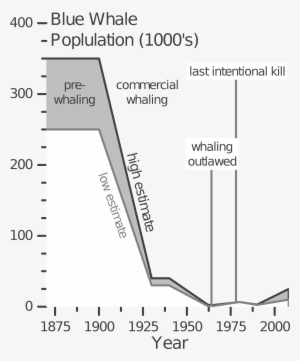 Open - Blue Whale Population 2016 #2188328