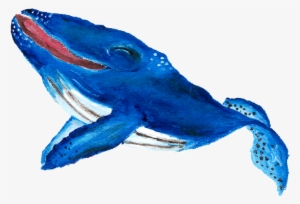 Why Was Will Special Well, He Loved To Sing & Will - Humpback Whale #2188332 Why Was Will Special Well, He Loved To Sing & Will - Humpback Whale #2188332