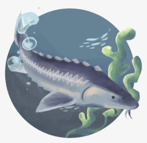 Endangered Species #2188353