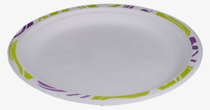 Download Product Image - Chinet #2189853