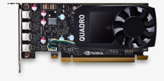 P1000 4 - P1000 Quadro #2189896