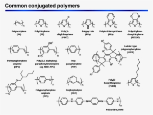 Conjugated Polymer Common - Conjugated Polymer #2190003